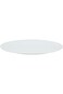 Lexuse Oval Tray, 35 cm, White (LX022) For Food Kitchen Use Outdoor &amp; Restaurant Decorative Multi P