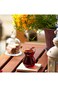 Turkish Tea and Coffee Cups (6pcs), Arabic Persian Tea Cups (5oz/145ml)