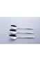 Cuisine Art CT-ELS/CS Berger Elsa Stainless Steel Dessert Spoons Set of 3, Small Coffee Spoon for H
