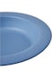 Shallow Kids Wheat Straw Tableware Set- Plate Spoon Fork-Blue