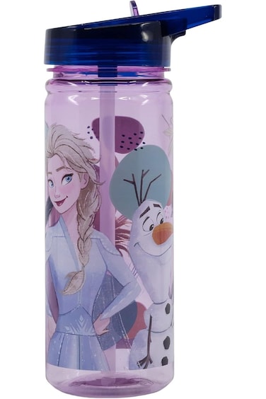 Stor Frozen Trust The Journey Large Ecozen Water Bottle Purple 74233
