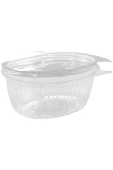 Clear Plastic Containers with Attached Lid