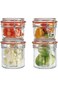 Parfait Modern Elegant 4-Piece Airtight Glass Jar Set with Lock Lid, 2 x 250 ml and 2 x 150 ml, Cle