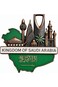 Saudi Arabia Souvenir Fridge Magnet, Metal Landmark Design with Green Map, Bronze Finish 3D Design