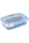 D&eacute;cor Match-Ups Clips Oblong Food Storage Container, Blue, 600 Ml, 231800-006