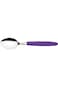 Tramontina Ipanema Stainless Steel Table Spoon with Purple Polypropylene Handle