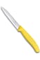 Victorinox 6.7736.L8 Swiss Classic Paring Knife for Cutting and Preparing Fruit and Vegetables Serr