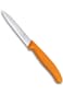 Victorinox 6.7736.L9 Swiss Classic Paring Knife for Cutting and Preparing Fruit and Vegetables Serr