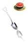 Honwor&reg; Stainless Steel Pointed Spoon for Fruit Desserts, Ice Cream, Cake, Elegant Tea Spoons, Stai