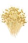 Disposable Wooden Cocktail Picks, Gold Cocktail Picks, Wooden Toothpicks, Skewers, Fruit Picks for