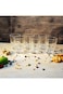 Royalford Glass Tumbler 6-Pieces Set, 250 ml Capacity