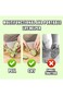 Fruit Knife Peeler, 2 in 1 Stainless Steel Fruit Knife, Multifunctional Portable Peeling Fruit Knif