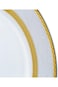 Shallow Porcelain Royal Dinner Plate with Gold Rim, White, 27 cm, TS-G1-20
