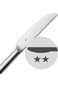 WMF 1120039990 Table Knife Boston Cromargan Stainless Steel Polished Silver 16 x 2 x 1 cm
