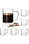 Double Walled Glass Coffee Mugs Set of 2, Clear Insulated Coffee Cup with Handle for Espresso Cappu