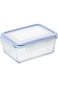 Mondex Scybe Glass Food Container With Lock Lid, 1000ml- Cmn0098