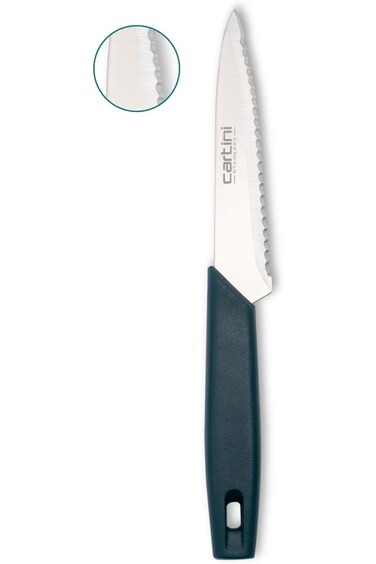 سكين تقطيع سريع من جودريج كارتيني، من الفولاذ المقاوم للصدأ، 22.1 سم، أزرق مخضر