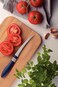 Tramontina Cor&amp;Cor 2 Pieces Tomato Knife Set with Stainless Steel Blade and Dark Blue Polypropylene