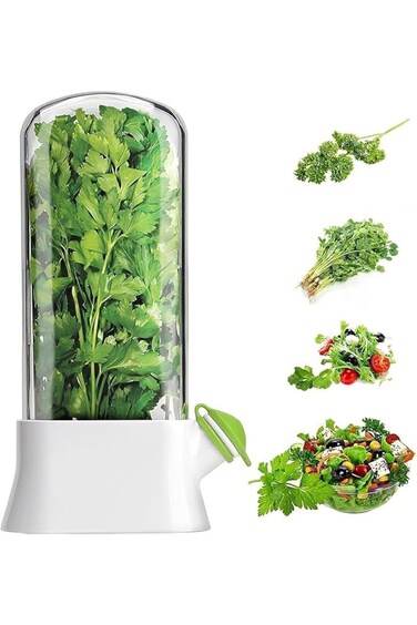 Circle M Stainless Steel Spoon Holder, Modern and Durable Kitchen Utensil Organizer for Spoons, For