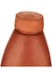 Harmony 300 mlEarthen Tri Angle Bottle