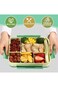 XLOT international Lunch Box - 4/6 Compartments Ideal Portion Size Leak-Proof, Toddler-Friendly Lun