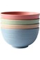 Azonee Wheat Straw Bowls Lightweight Unbreakable Set of 4 Dishwasher Microwave Safe bowls Non Toxic