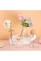 ALMEKAQUZ 800ml/27oz Glass Storage Container with Ball Cork, Kitchen Glass Jar Candy Jars Decorativ