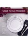 Rosy.Moment Silver Rim Plastic Plates 9 inch Disposable Salad/Dessert Plates Ideal for Weddings&amp; Pa