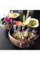 Arabest Natural Coconut Bowls and Spoons, Coconut Bowls Acai Smoothie Bowl Noodle Ramen Bowls (Set