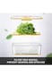 ALMEKAQUZ Vegetable Fruit Storage Containers with Lids, Timing Food Refrigerator Organizer Bins for