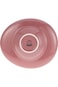 Shallow 24Cm Pasta Plate -Shiny Purple (CHP-383-PUR)