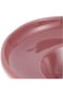 Shallow 24Cm Pasta Plate -Shiny Purple (CHP-383-PUR)