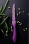 Tramontina Colorcut 5 Inches Utility Knife with Stainless Steel Decorated Blade and Purple Polyprop