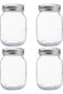 YINGERHUAN Glass Regular Mouth Mason Jars, 16 oz Clear Glass Jars with Silver Metal Lids for Sealin