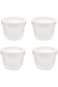 Azonee Onion Storage Containers with Threaded Seal Lid Strainer Tomato Saver Preservation Box Doubl