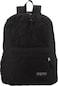 JANSPORT FLEX PACK BLACK