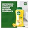 Dettol Fresh Shower Gel &amp; Body Wash, Citrus &amp; Orange Blossom, 5000ml