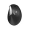 Rapoo EV250 Wireless Ergonomic Mouse - Black