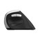 Rapoo EV250 Wireless Ergonomic Mouse - Black