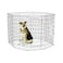 قفص للحيوانات الأليفة من ميد ويست، 24 عرض × 48 ارتفاع بوصة