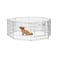 Midwest MAX Lock Life Stages Exercise Pen, 24"W x 36"H
