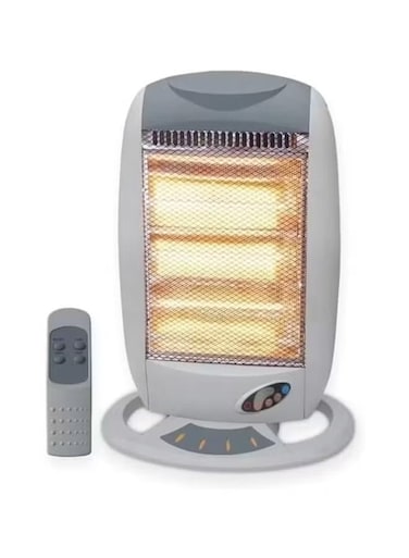 Electric heater with remote control