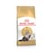 Royal Canin Feline Breed Nutrition Persian Dry Cat Food, 2 Kg