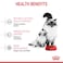 Royal Canin Mother and Babycat Dry Cat Food - 400 g