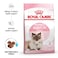 Royal Canin Mother and Babycat Dry Cat Food - 4 kg