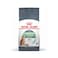 Royal Canin Digestive Care Dry Cat Food - 400 g