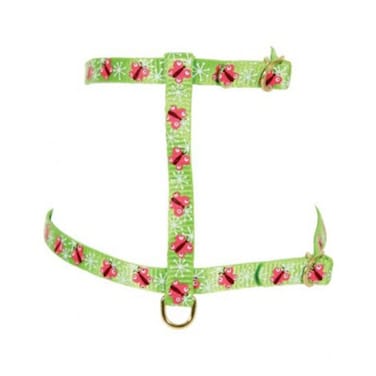 رباط تحكم نايلون بطبعة فراشات للقطط من زولكس، أخضر، 10 ملم