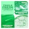 Closeup Triple Fresh Gel Toothpaste, Menthol Fresh, 120ml