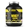 Body Builder Whey Protein, 25g High Quality Protein with 5 Digestive Enzymes, Vanilla Marshmallow - 4LB