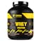Body Builder Whey Protein, 25g High Quality Protein with 5 Digestive Enzymes, Chocolate Wafer - 4LB